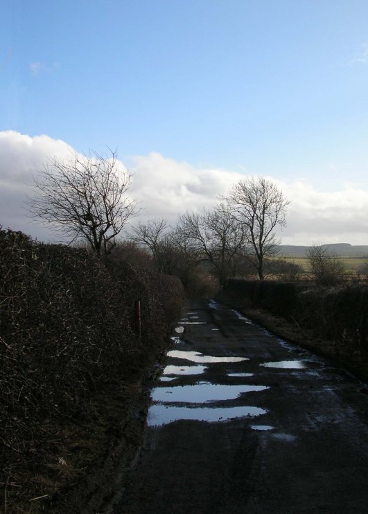 The Lane